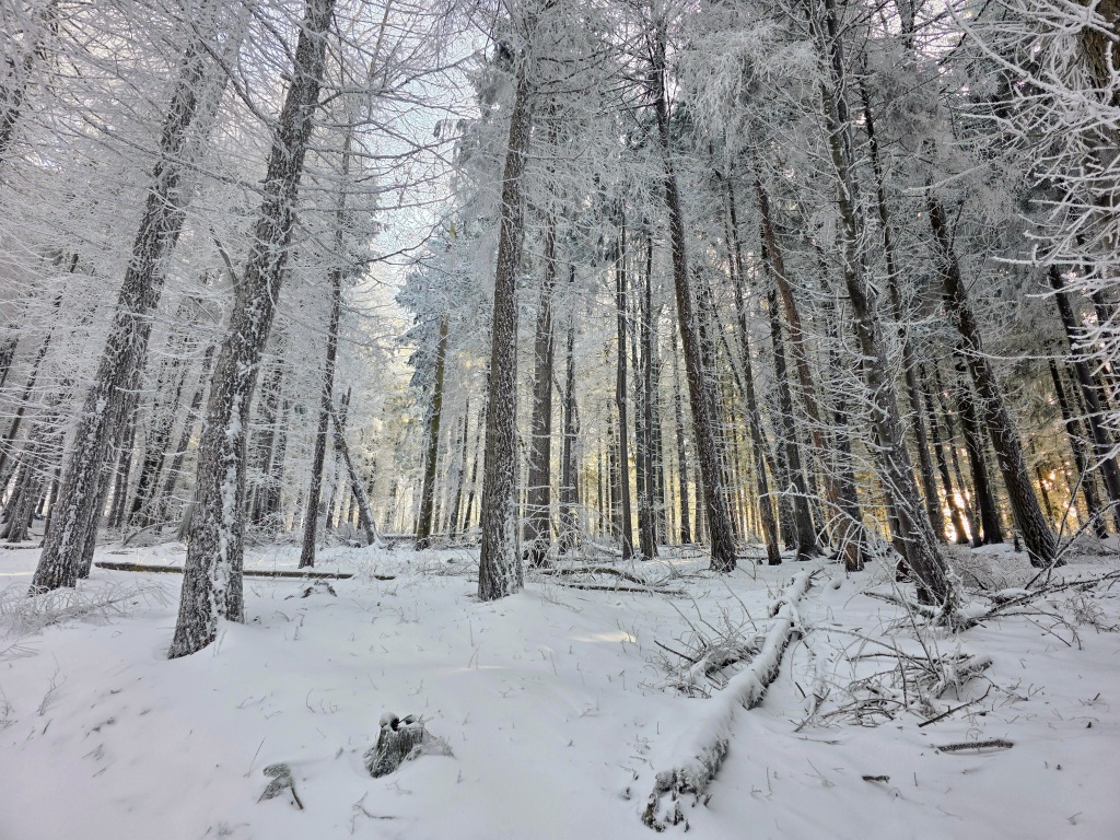 beillesztett kép