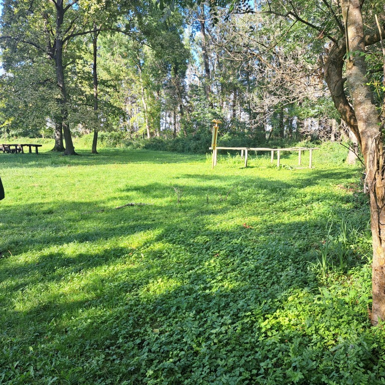 beillesztett kép