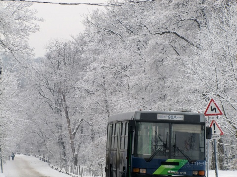 beillesztett kép