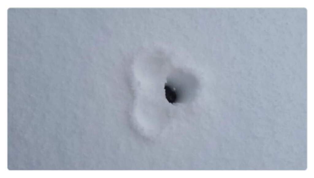 beillesztett kép