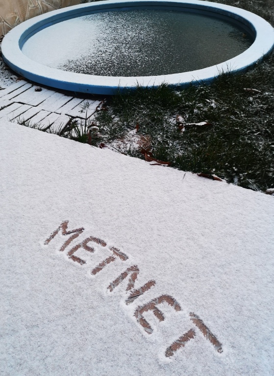 beillesztett kép