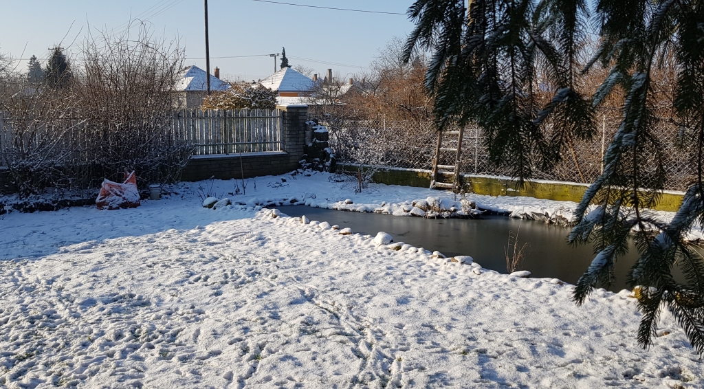 beillesztett kép
