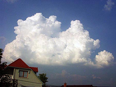 Cumulus congestus