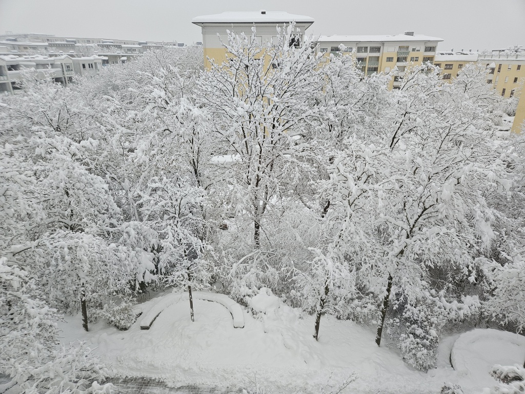 beillesztett kép