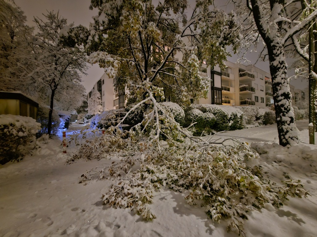 beillesztett kép