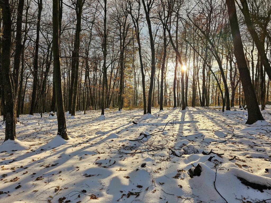 beillesztett kép