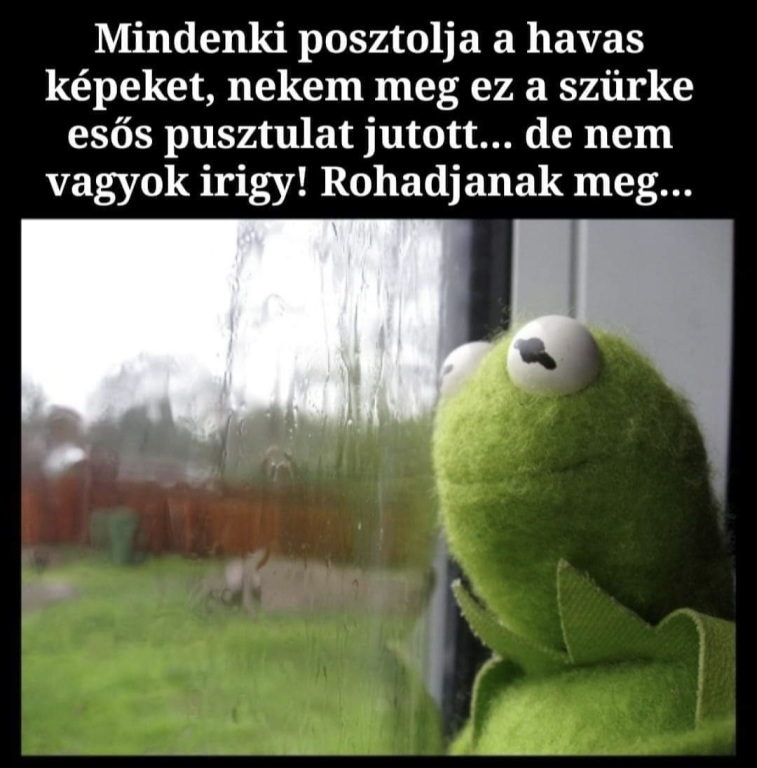 beillesztett kép