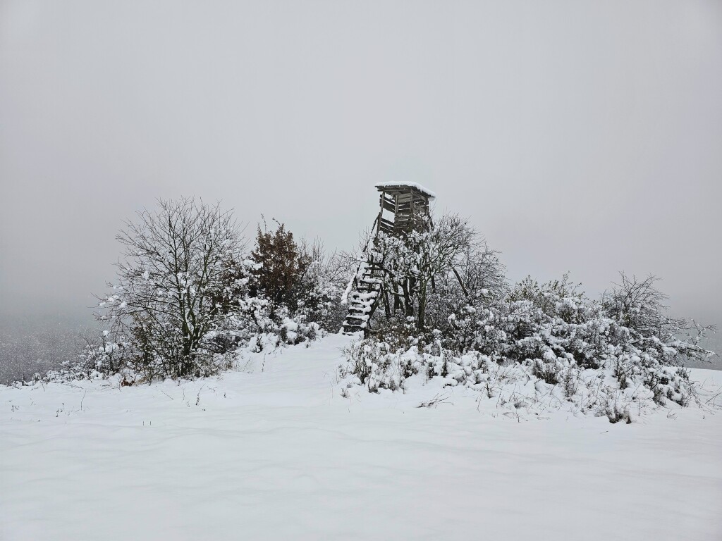 beillesztett kép