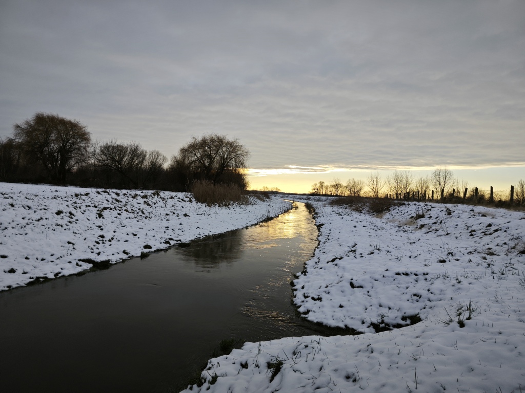 beillesztett kép