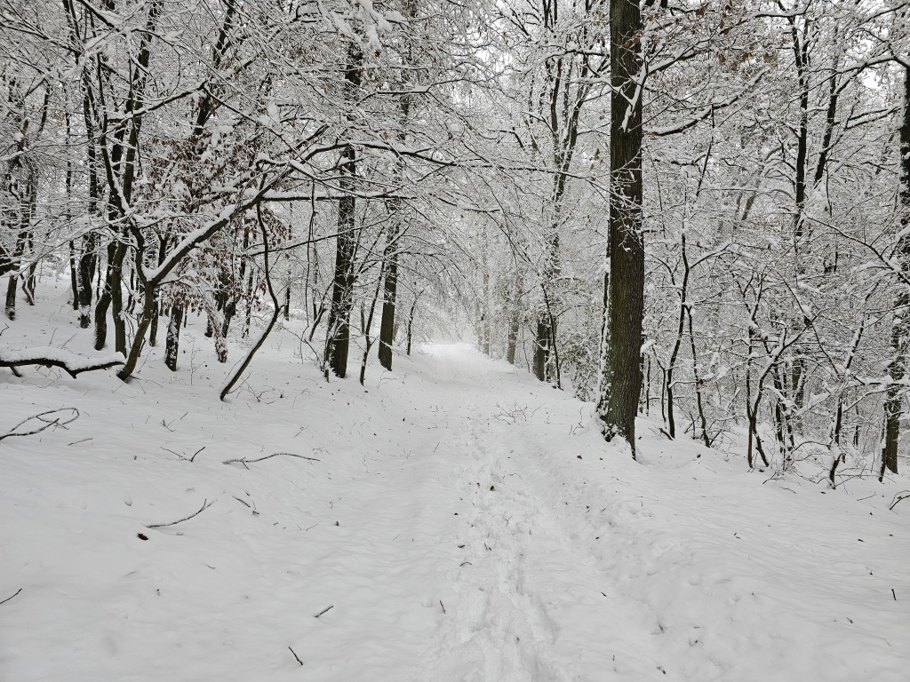 beillesztett kép