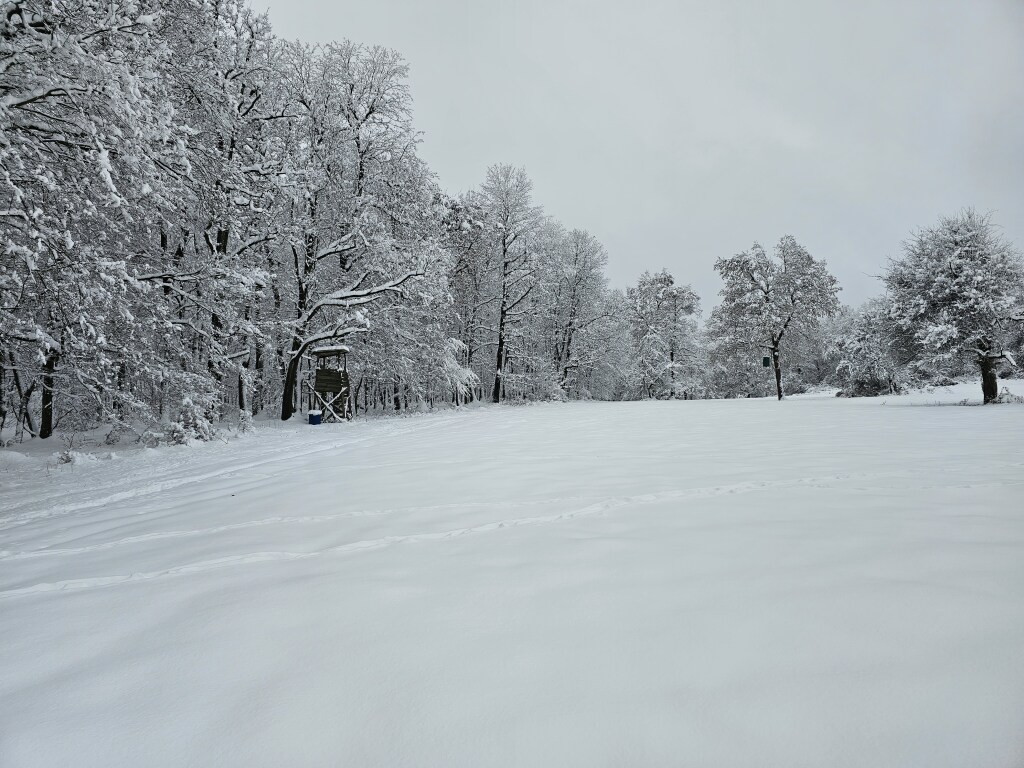 beillesztett kép