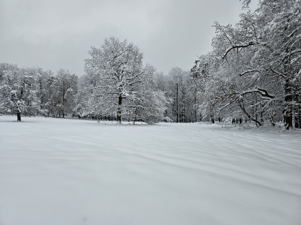 beillesztett kép