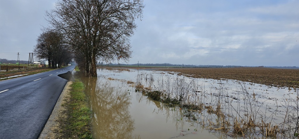 beillesztett kép