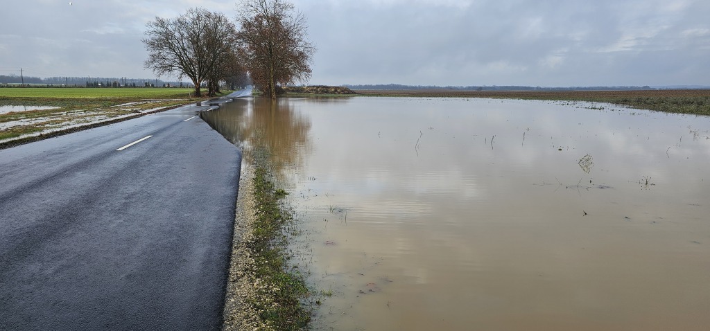 beillesztett kép