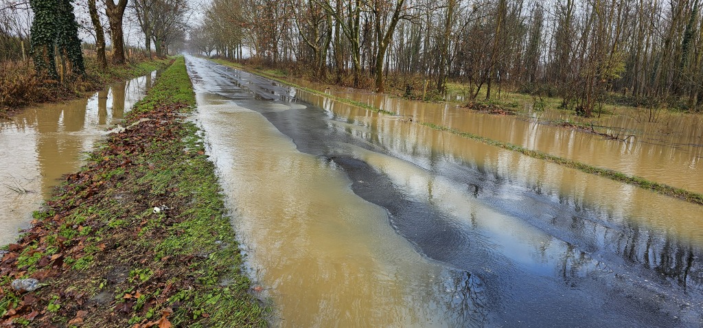 beillesztett kép