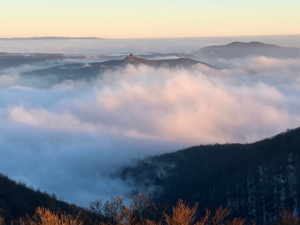 beillesztett kép