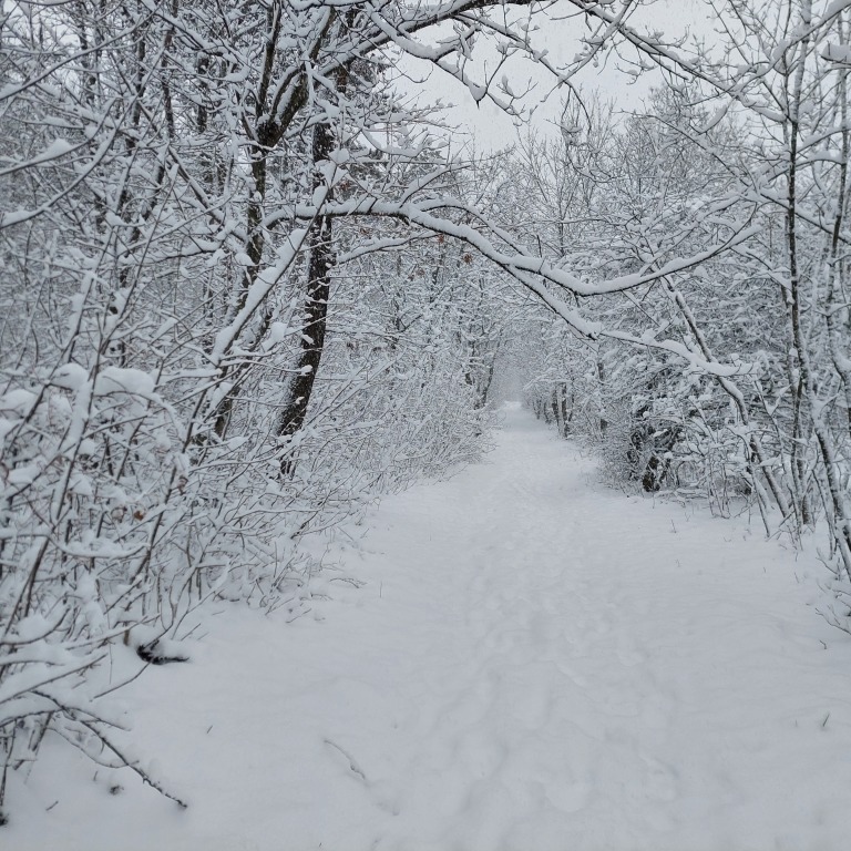 beillesztett kép