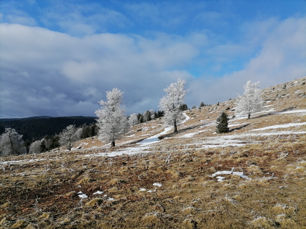 beillesztett kép