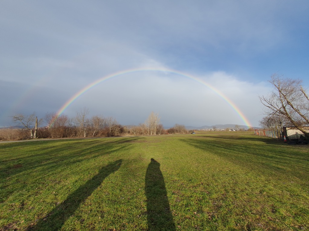 beillesztett kép