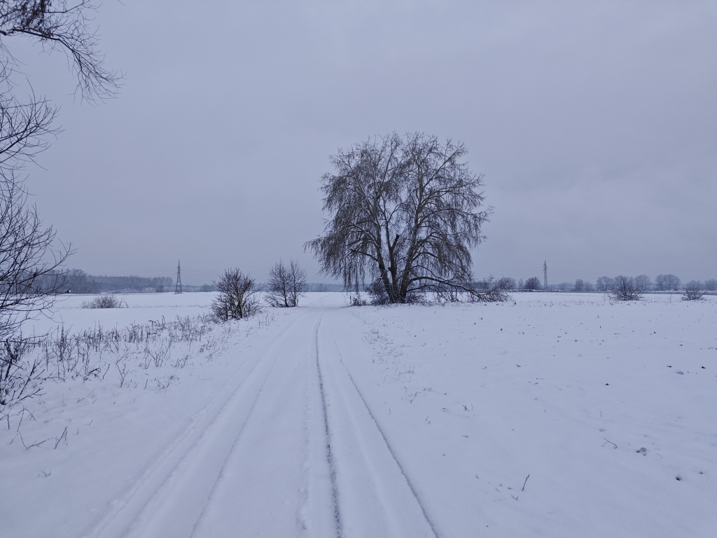 beillesztett kép