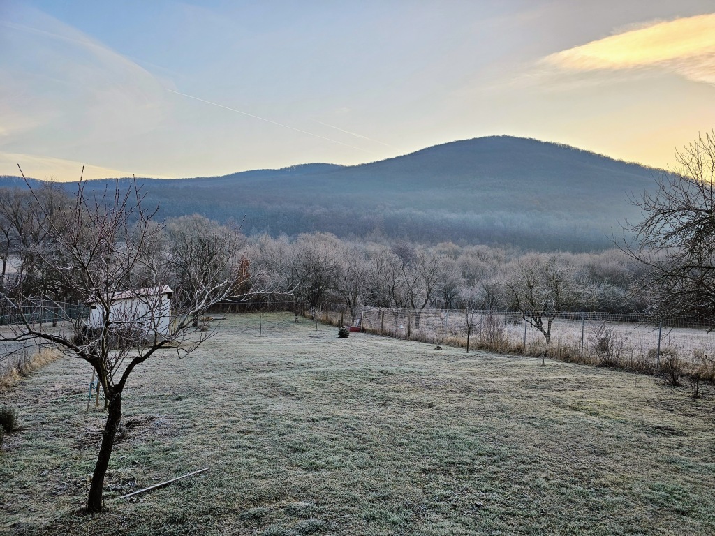 beillesztett kép