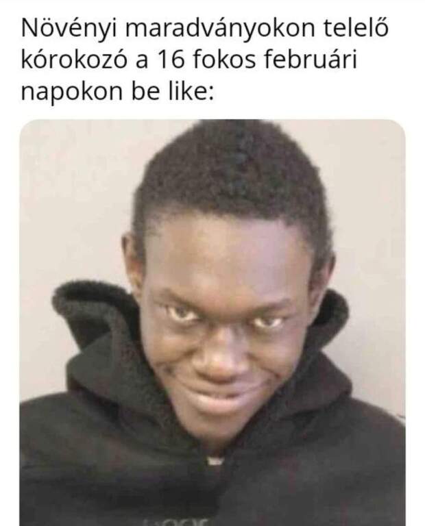 beillesztett kép