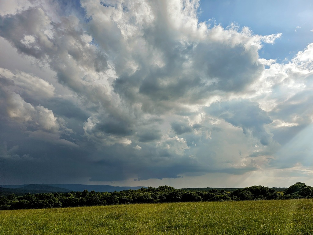 beillesztett kép