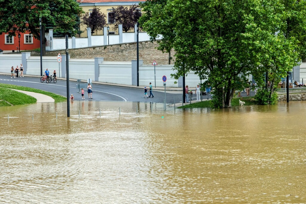 beillesztett kép