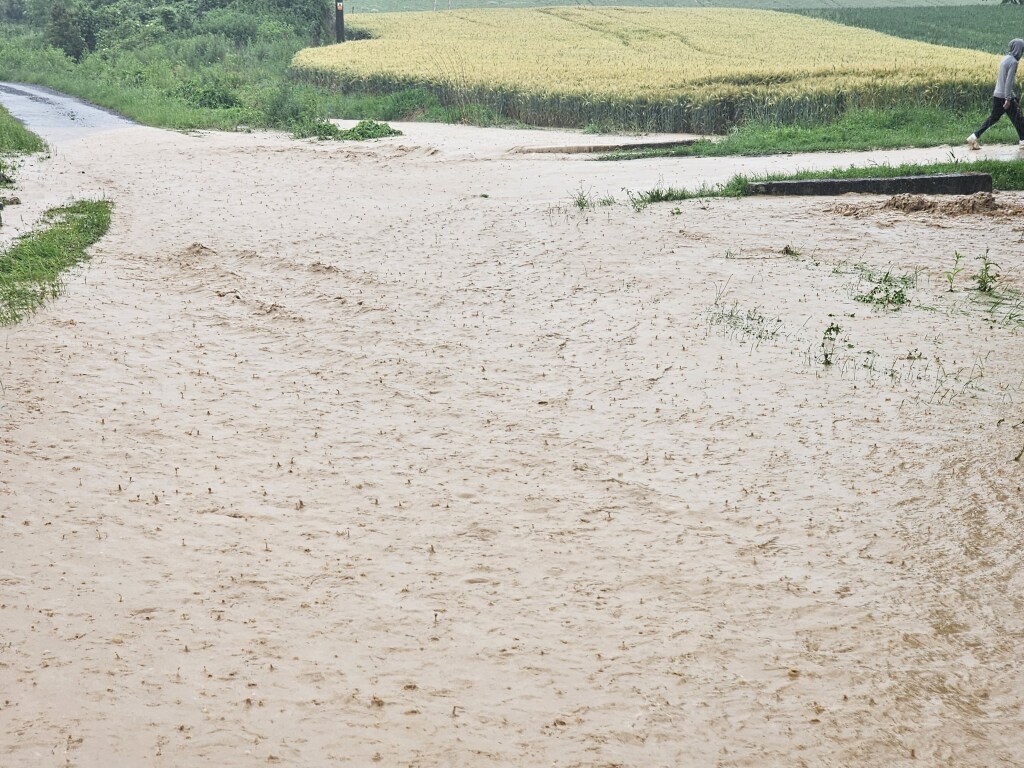 beillesztett kép