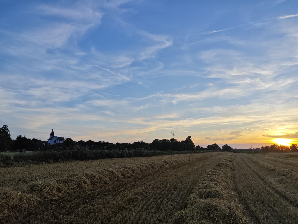 beillesztett kép