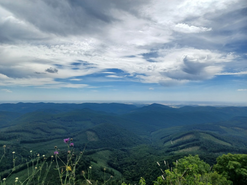 beillesztett kép