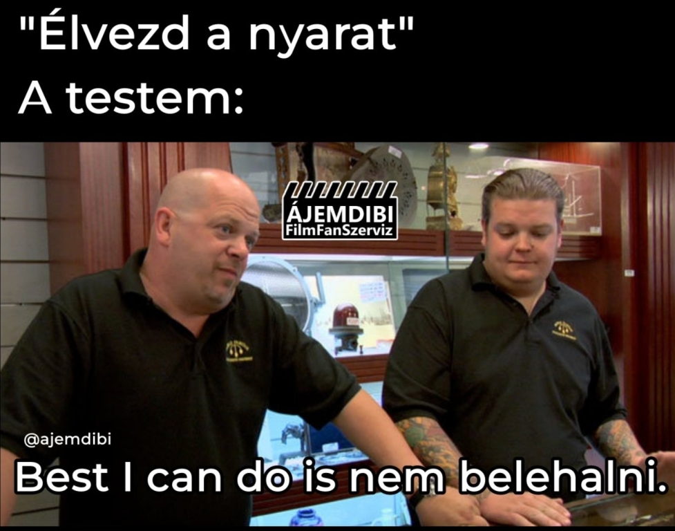 beillesztett kép