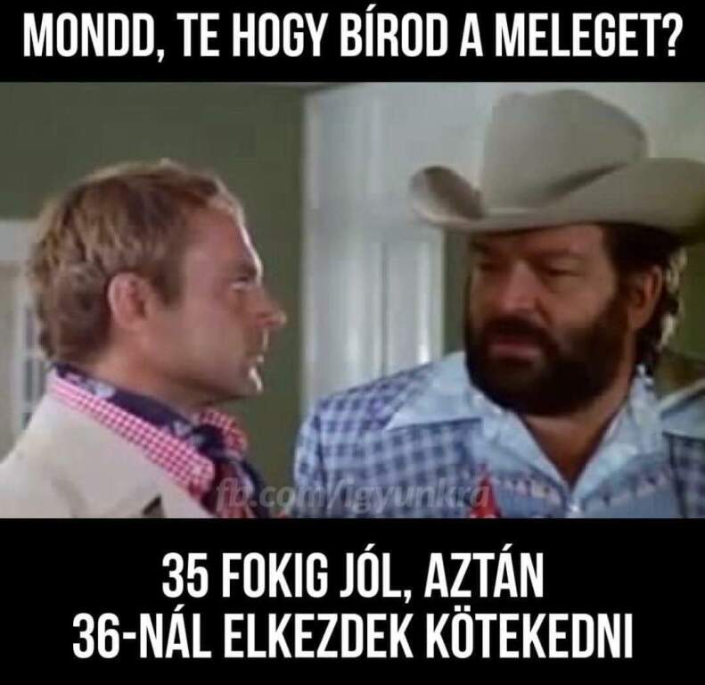 beillesztett kép