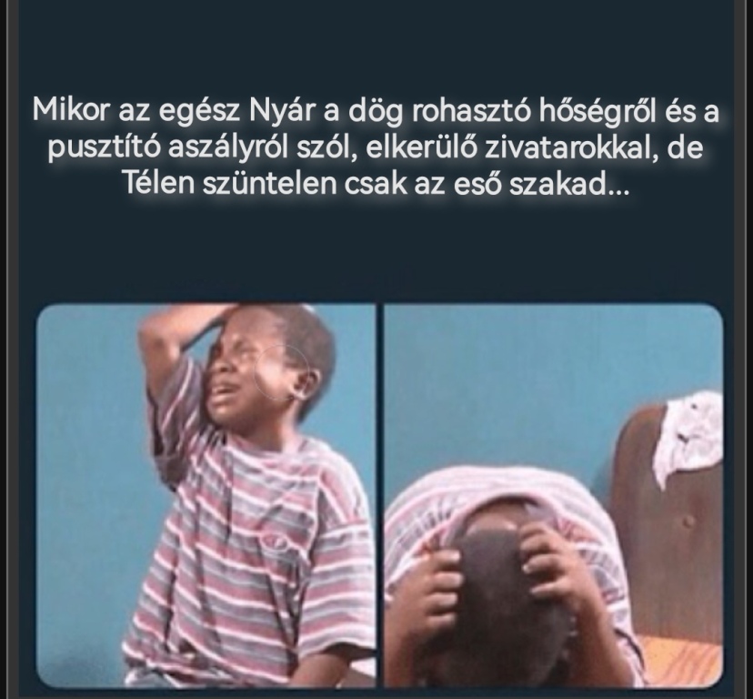 beillesztett kép