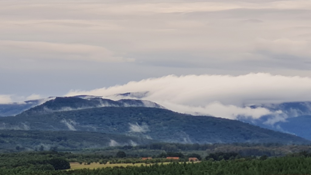 beillesztett kép