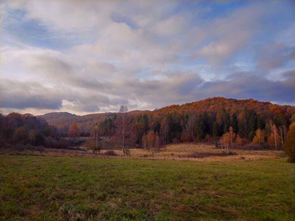 beillesztett kép