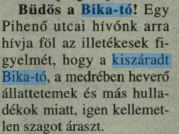 beillesztett kép