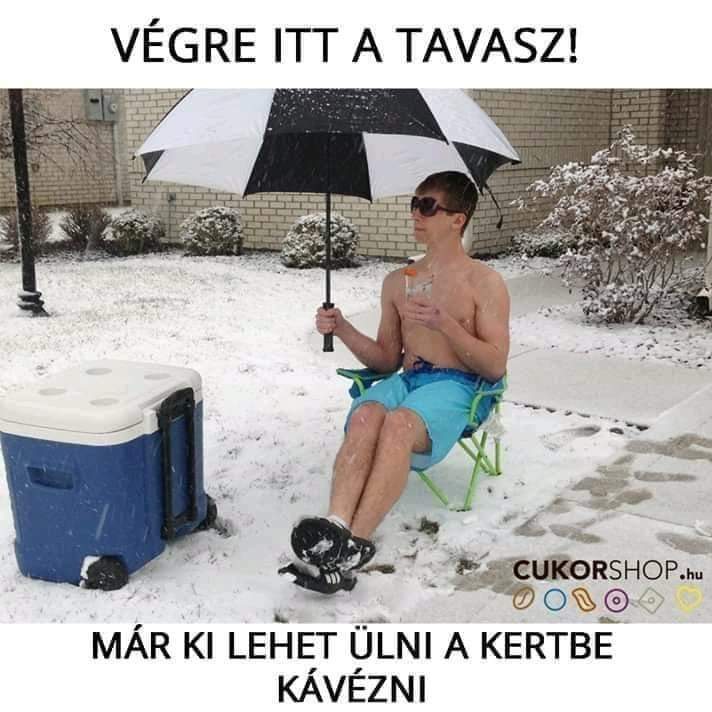 beillesztett kép