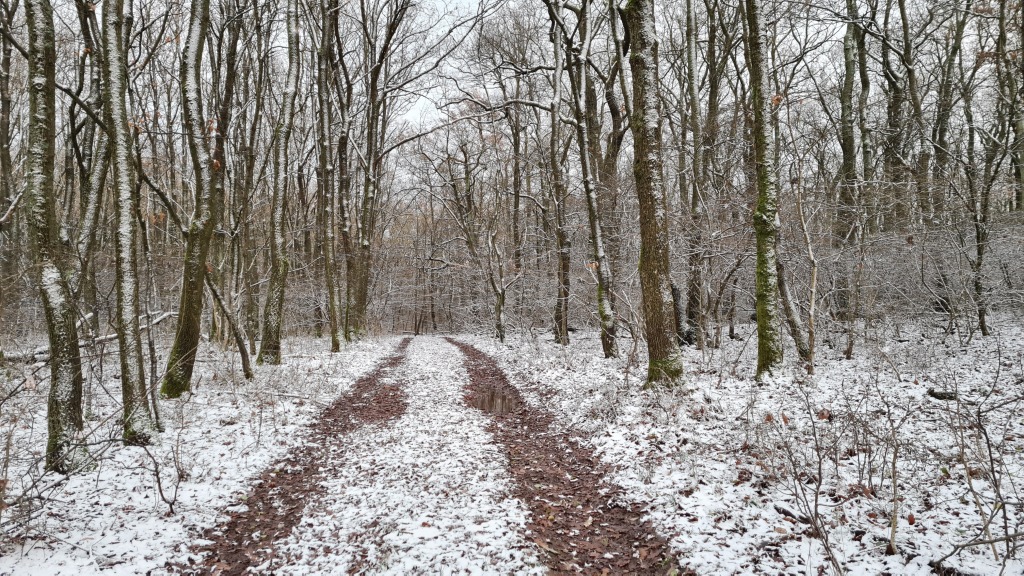 beillesztett kép