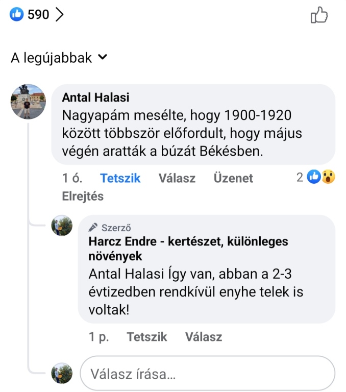 beillesztett kép