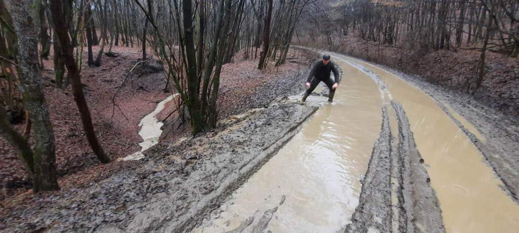 beillesztett kép