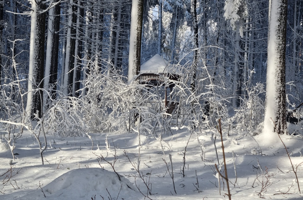 beillesztett kép