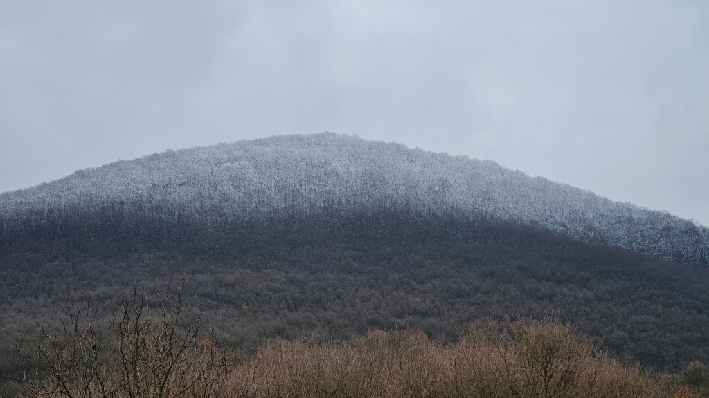 beillesztett kép