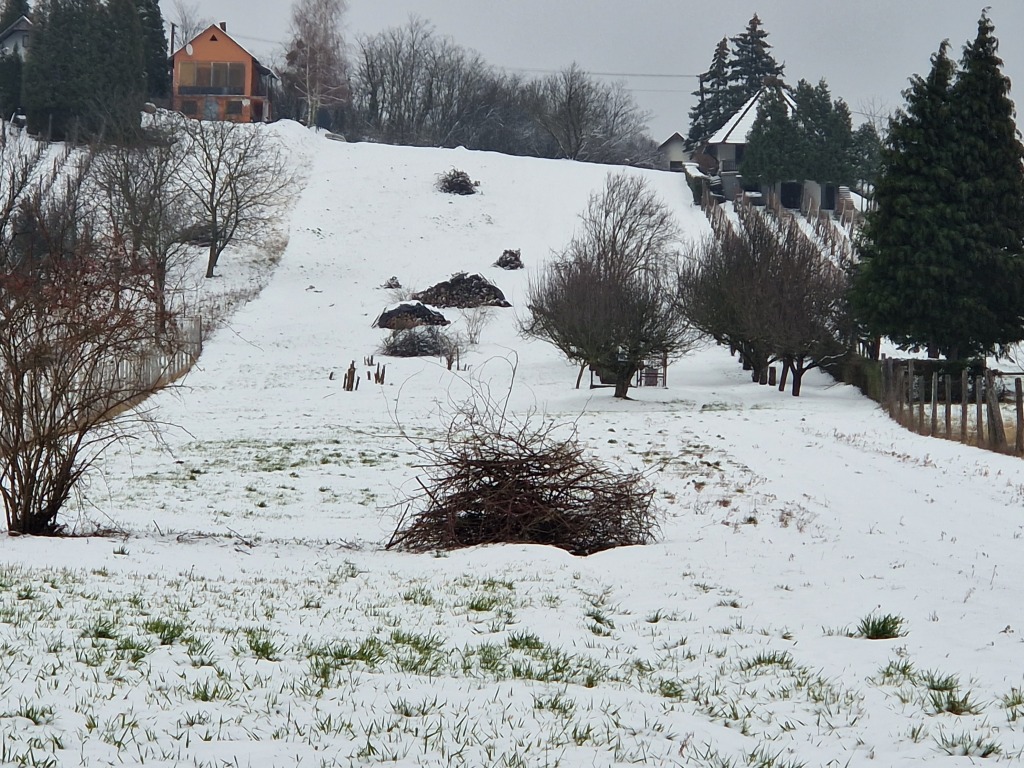 beillesztett kép