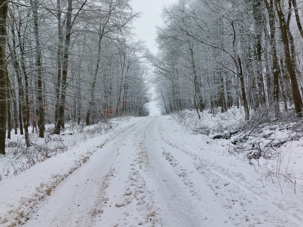 beillesztett kép